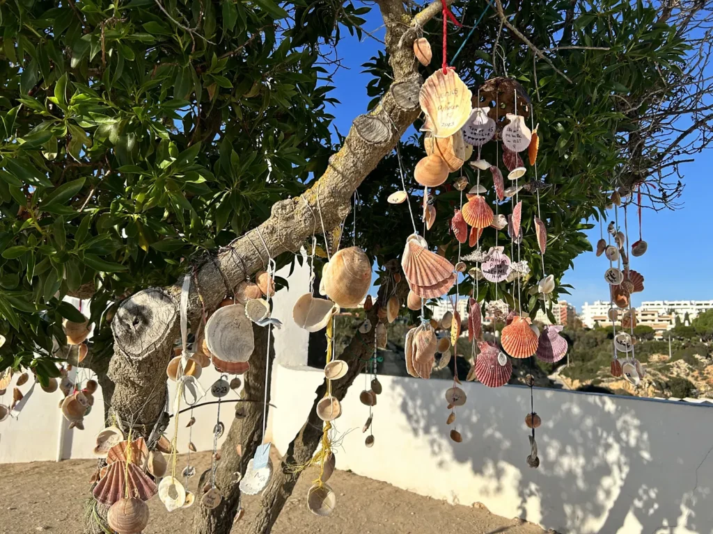 Muszelki porozwieszane na drzewie przy kościele i plaży o nazwie - Praia de Nossa Senhora da Rocha