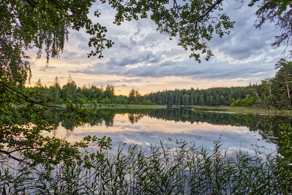 Wigierski park narodowy.