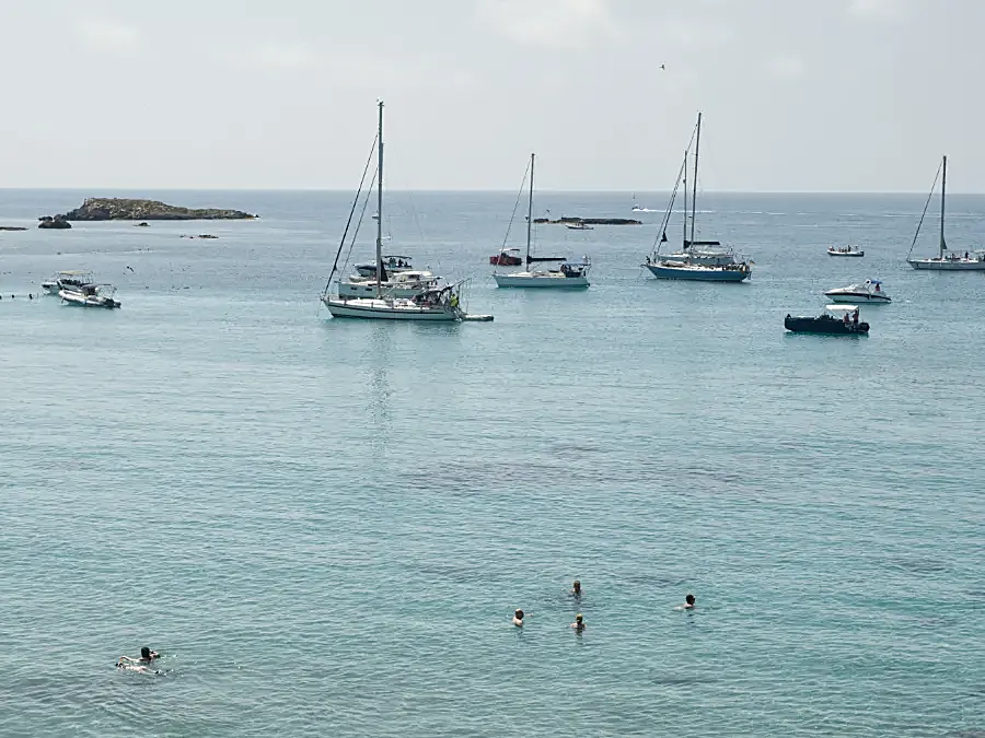 Podwodny świat rezerwatu morskiego Tabarca z widocznymi łąkami posidonii.