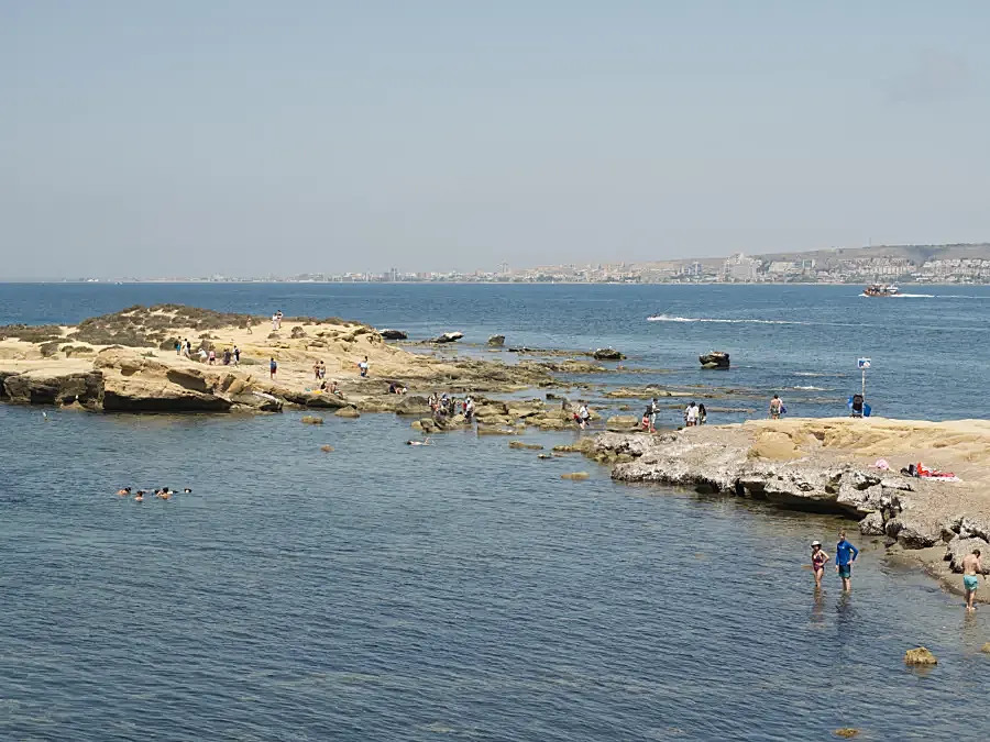 Podwodny świat rezerwatu morskiego Tabarca z widocznymi łąkami posidonii.